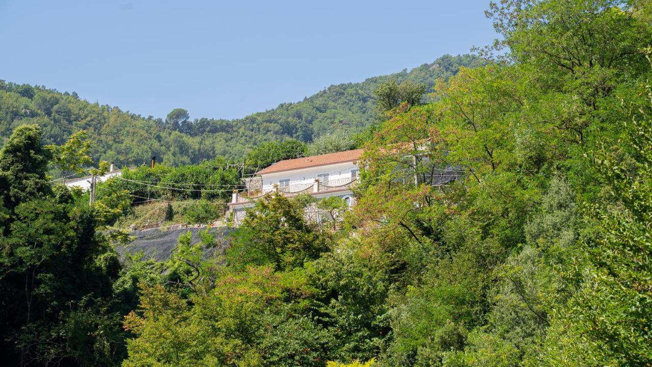 Tra Sole E Limoni Apartments Tramonti Dış mekan fotoğraf