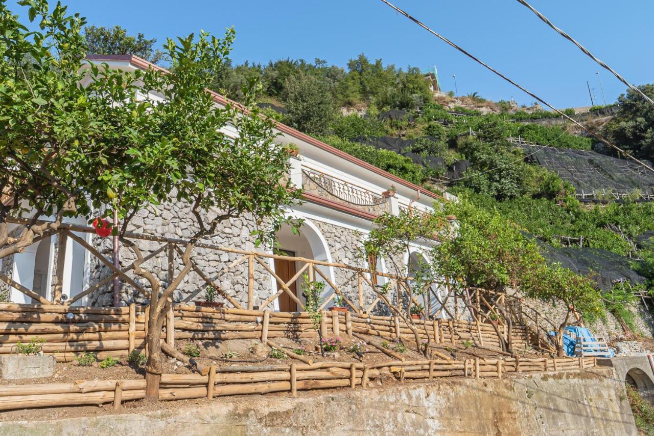 Tra Sole E Limoni Apartments Tramonti Dış mekan fotoğraf
