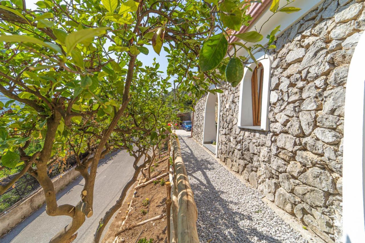 Tra Sole E Limoni Apartments Tramonti Dış mekan fotoğraf