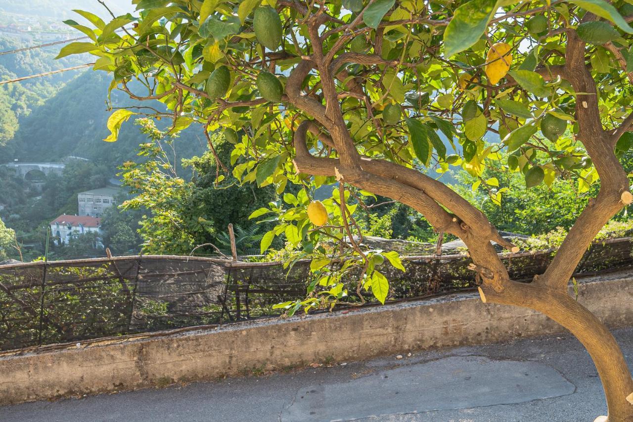Tra Sole E Limoni Apartments Tramonti Dış mekan fotoğraf