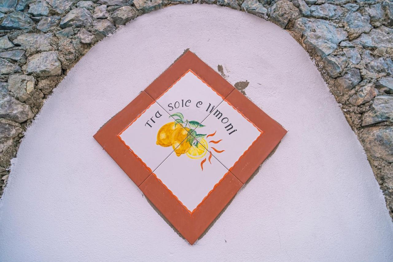 Tra Sole E Limoni Apartments Tramonti Dış mekan fotoğraf